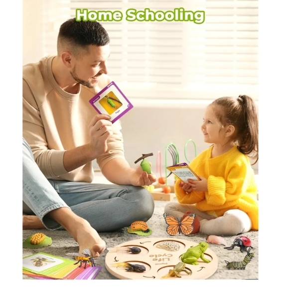 Life Cycle Learning Set - Multicolor - Picture 3 of 5